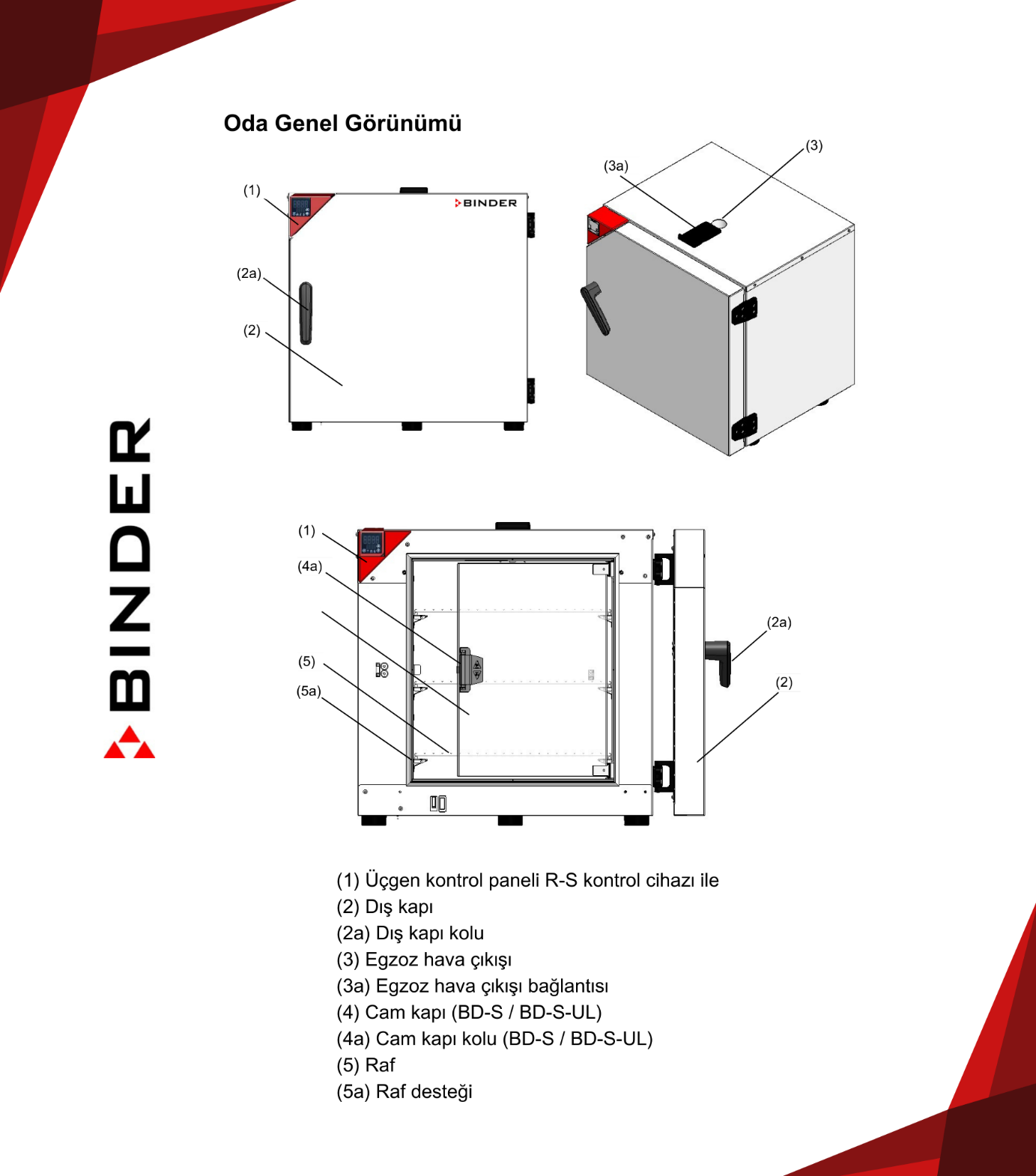 binder ed-s