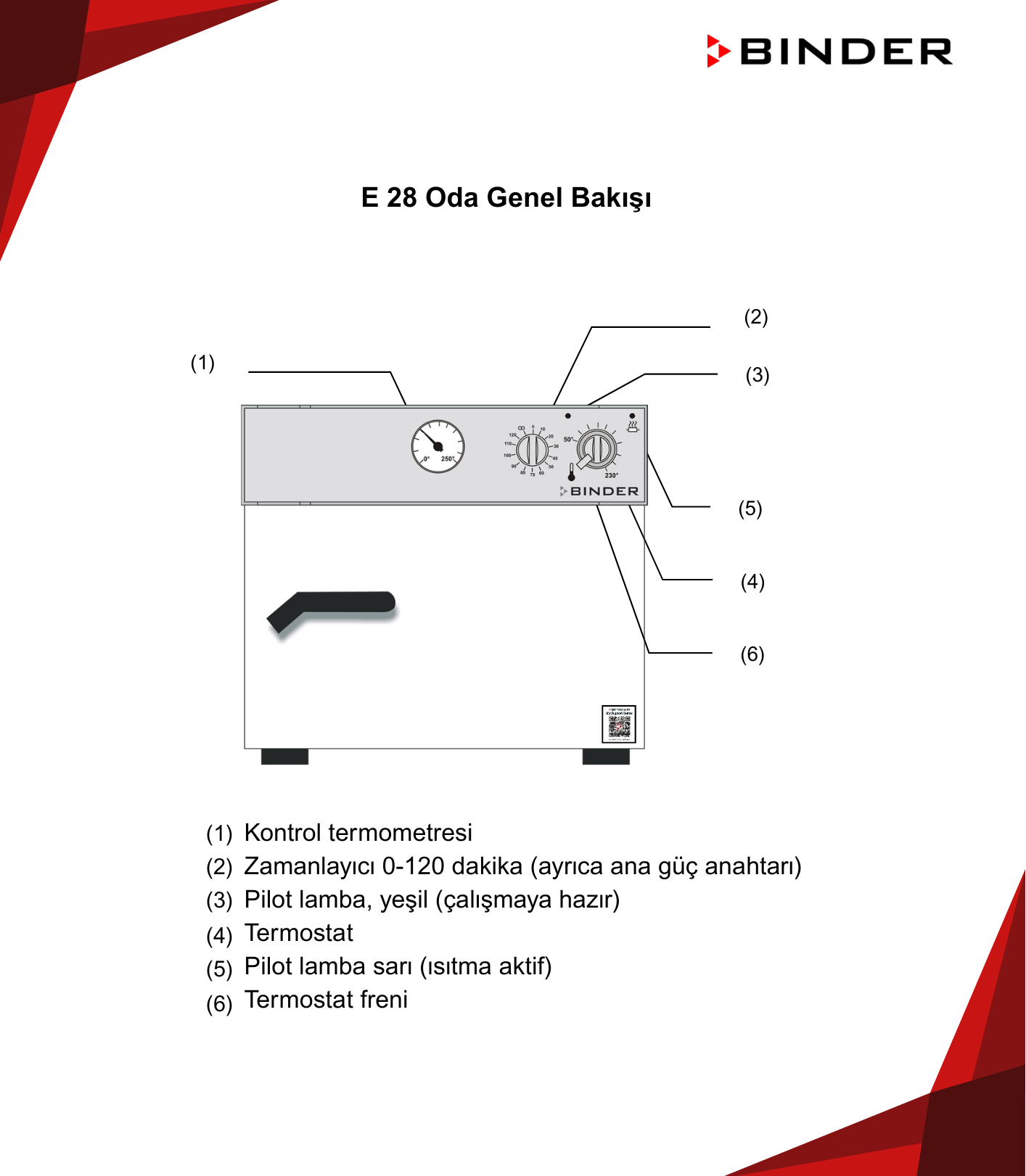 binder e modeli