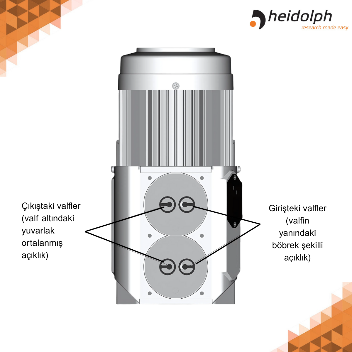 heidolph hei-vac valve tec pompa