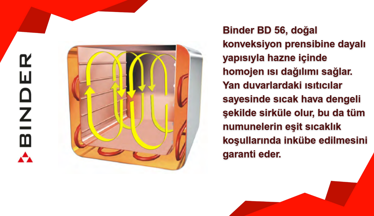 binder bd 56 fiyatları