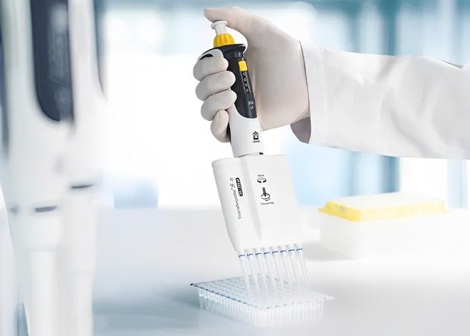 Brand Transferpette 8 Çok Kanallı Dijital Pipet 30-300 µl 703712