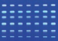 Merck 105553 TLC Silika jel 60 25 Alüminyum Levha 20x20 cm 1 kt.